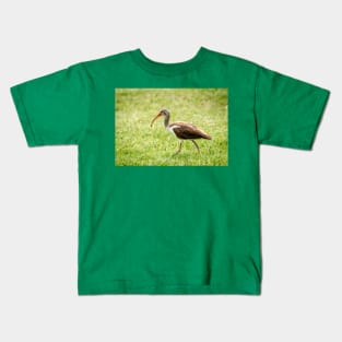 Young White Ibis Feeding in the Grass Kids T-Shirt